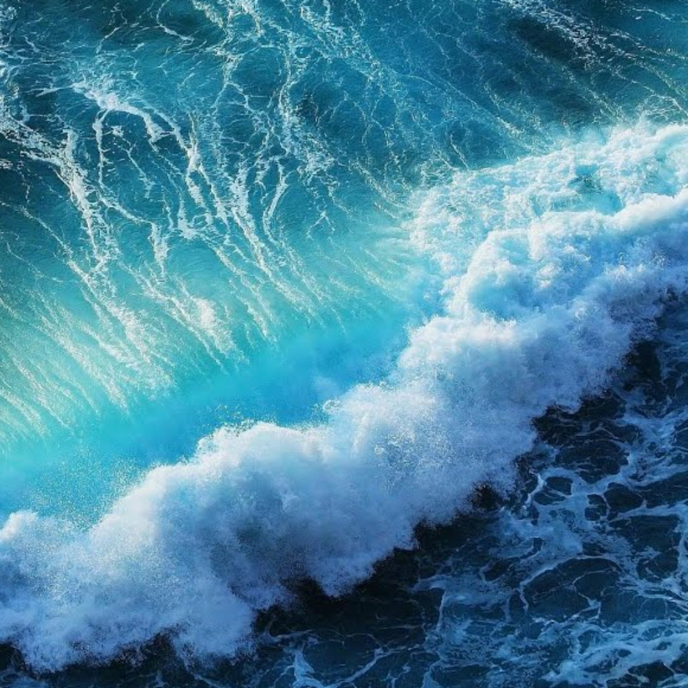 Meet your Posher, Anastasia